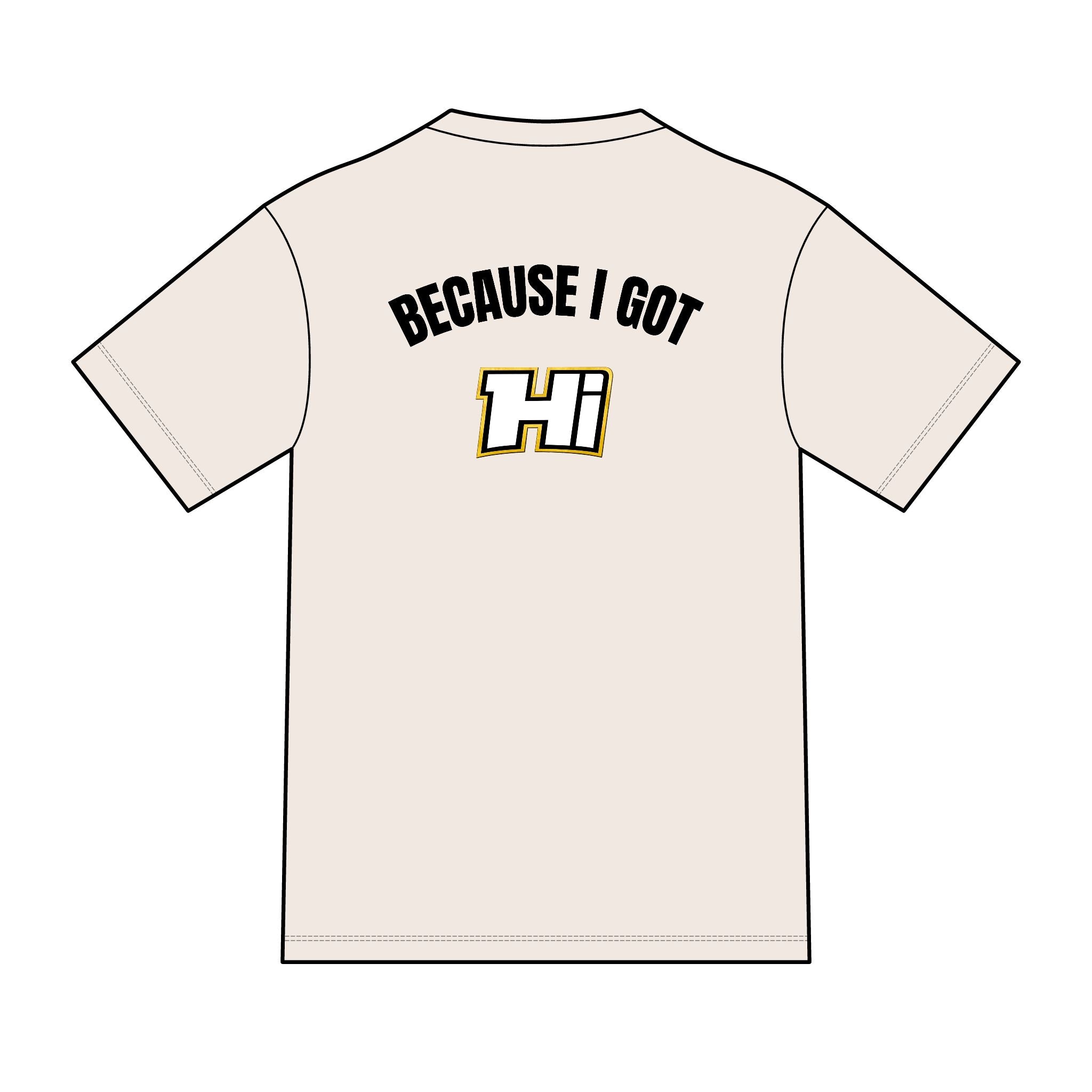 District ® Perfect Tri ® Tee - Because I Got Hi (Light)