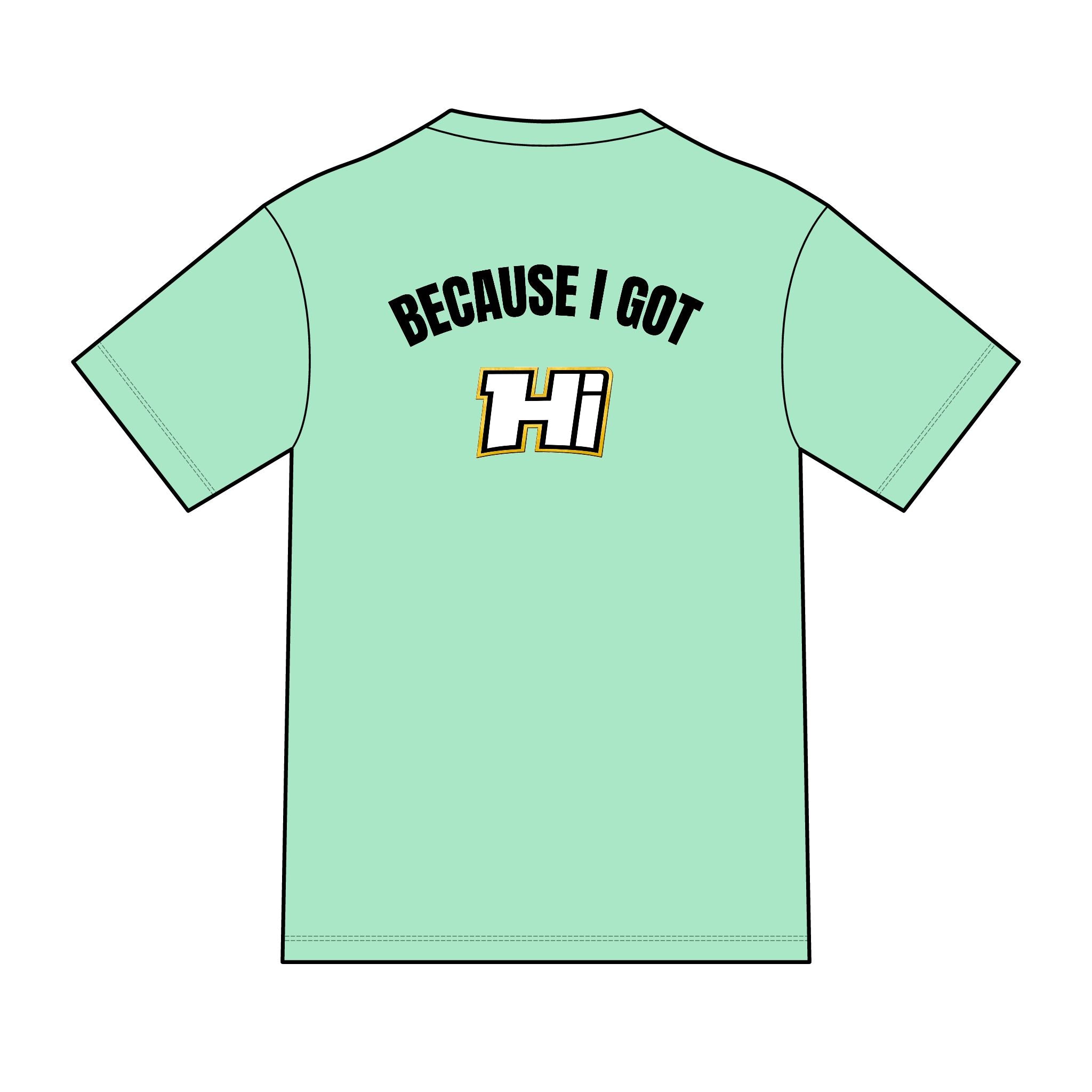 District ® Perfect Tri ® Tee - Because I Got Hi (Light)