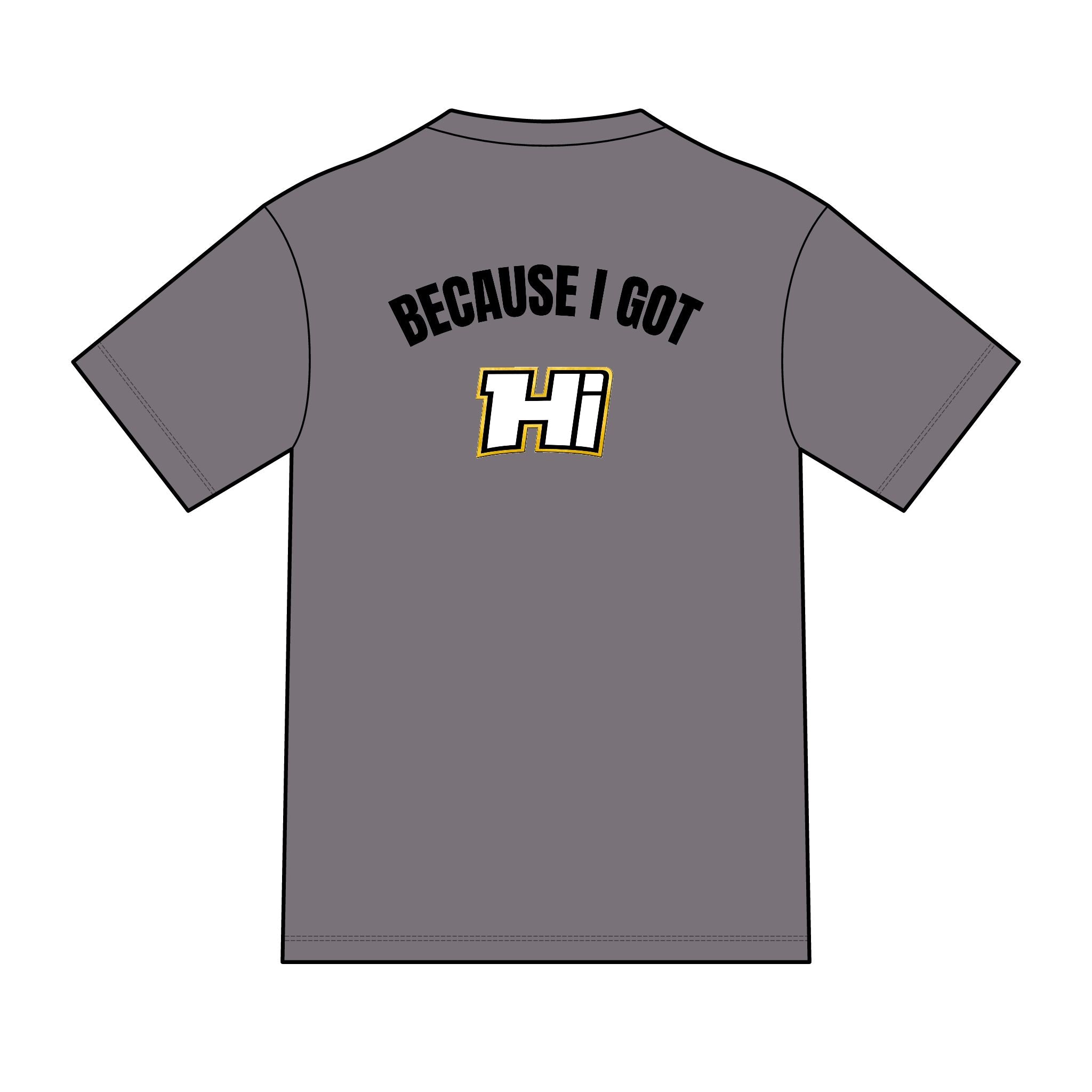 District ® Perfect Tri ® Tee - Because I Got Hi (Light)
