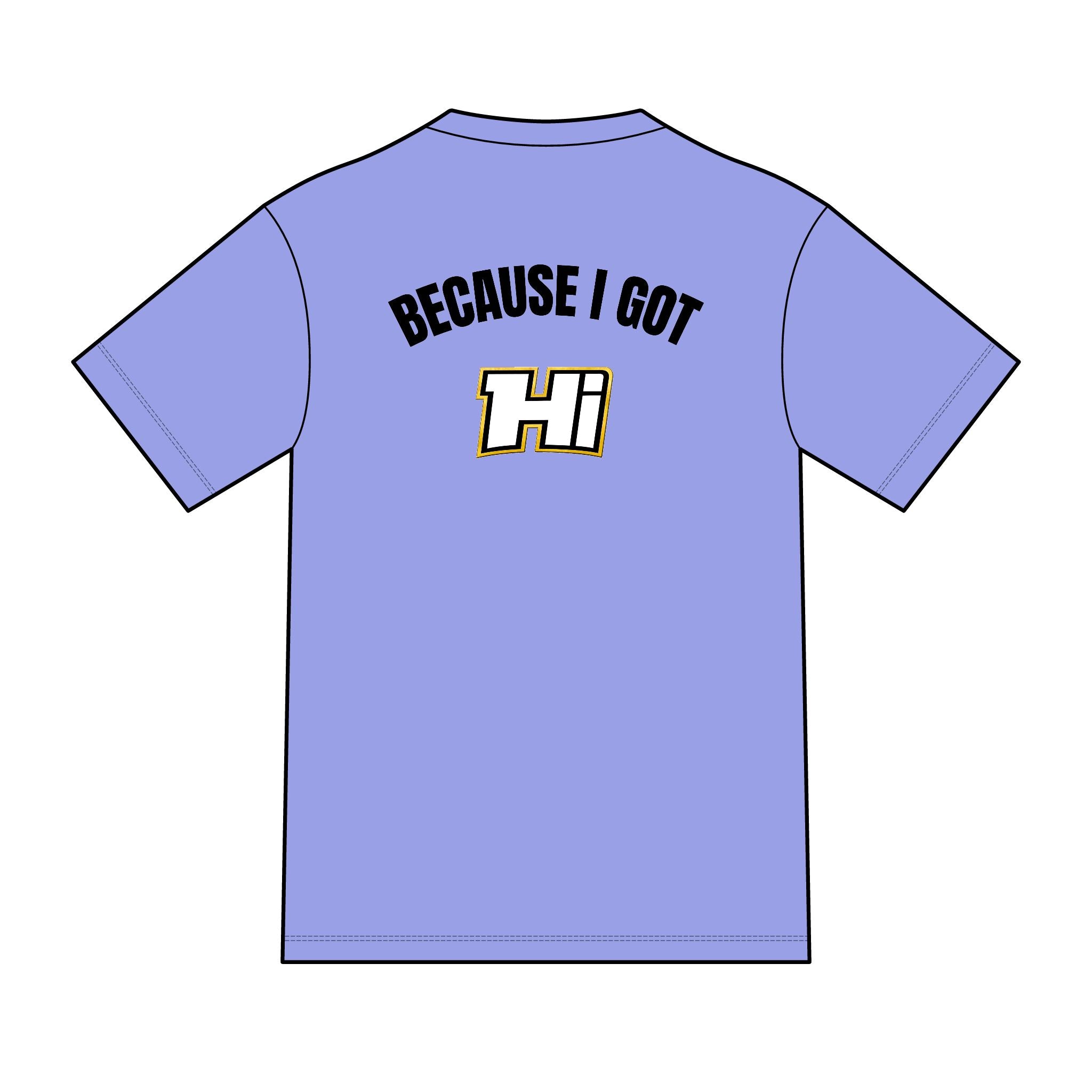 District ® Perfect Tri ® Tee - Because I Got Hi (Light)