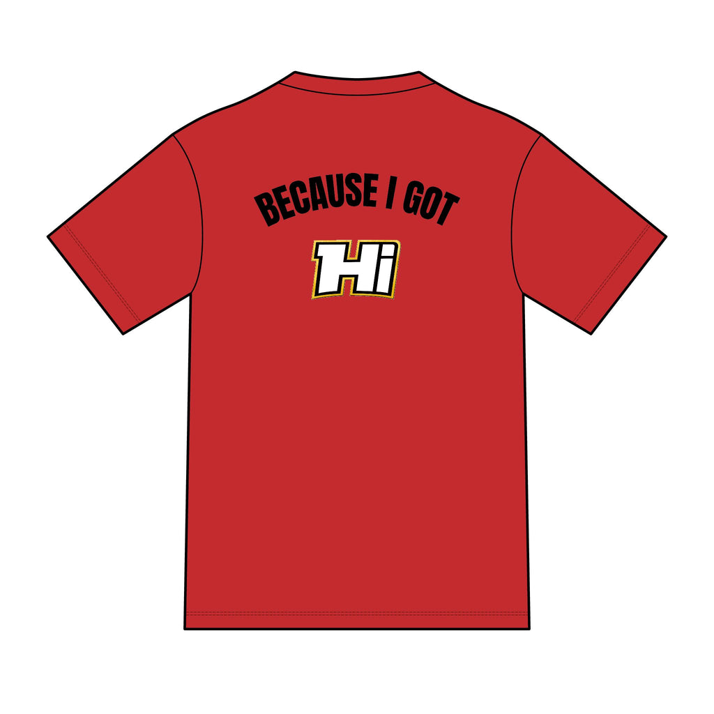District ® Perfect Tri ® Tee - Because I Got Hi (Light)