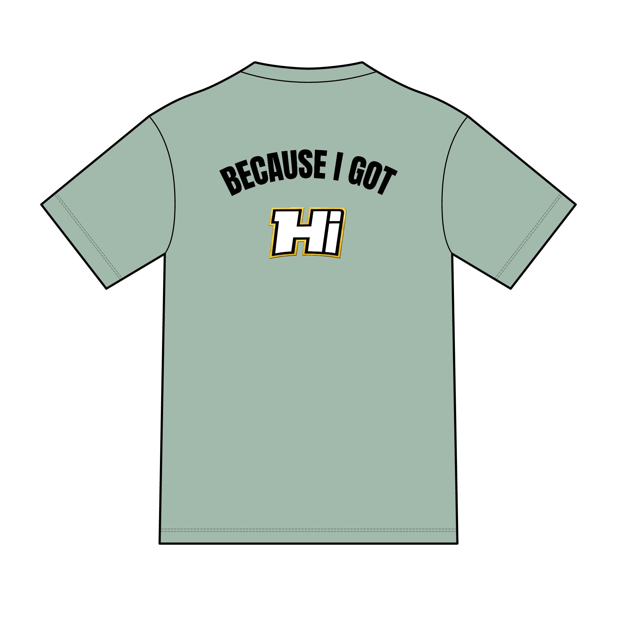 District ® Perfect Tri ® Tee - Because I Got Hi (Light)