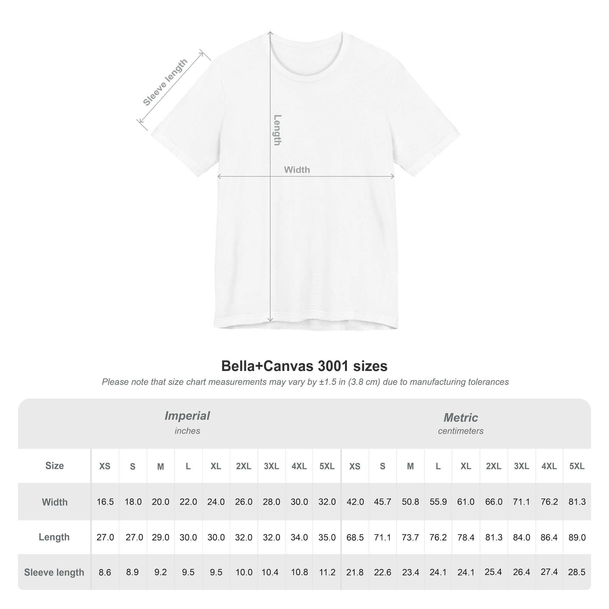 Unisex Jersey Short Sleeve Tee (Light)